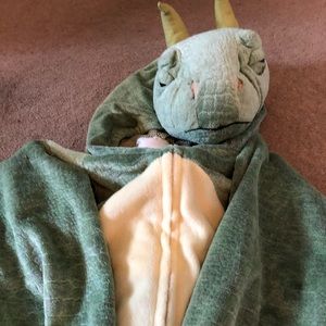 Dinosaur costume 7-8